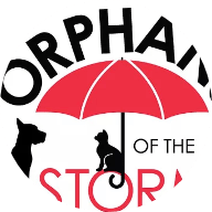 Orphans of the Storm