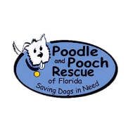 Poodle and Pooch Rescue