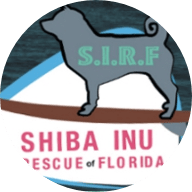 Shiba Inu Rescue of Florida