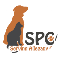 Allegany county SPCA