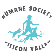 Humane society silicone valley